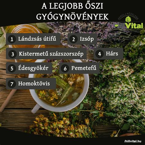 Tiltott gyógynövények listája terhesség alatt