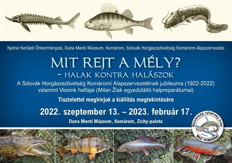 Mely halak biztonságosan fogyaszthatók terhesség alatt?