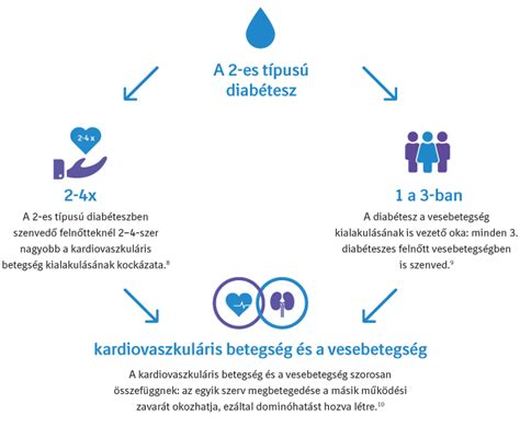 A HCG hatásmechanizmusát bemutató ábra a Leydig-sejtekre