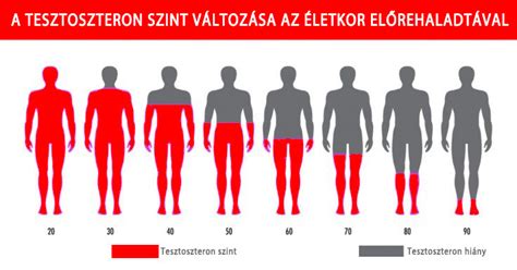 A tesztoszteron hiány fizikai és pszichológiai tünetei