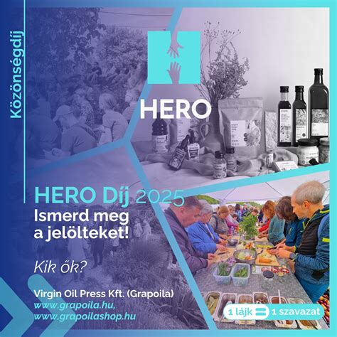 CAM márka logója és a cég története infografika