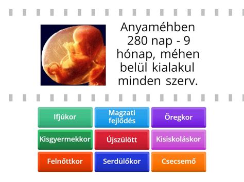 Újszülött látásfejlődési szakaszai