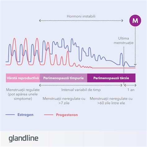 A perimenopauza szakaszának szemléltetése grafikonon
