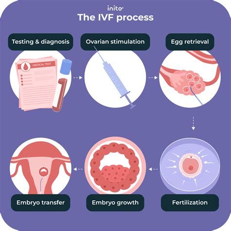 IVF előtti kivizsgálások fontossága