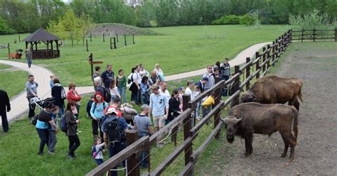 Gyermekek a Körös-Maros Nemzeti Parkban, környezeti nevelés keretében