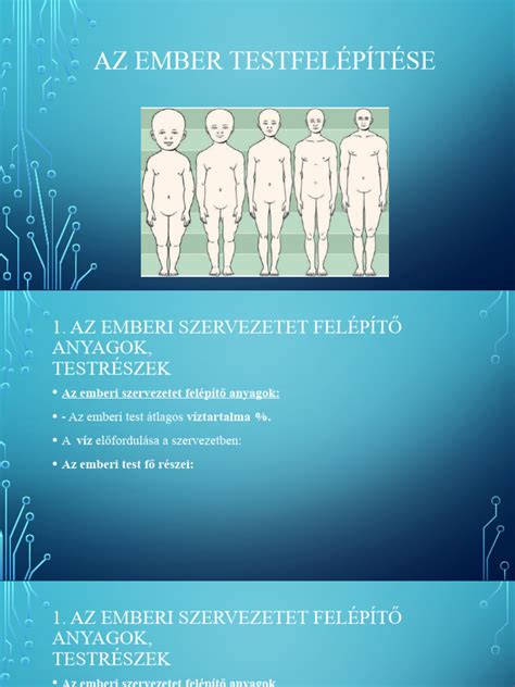 Az ember és a háziasított emlősök szimbiózisa