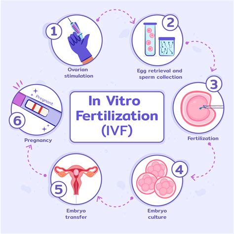 IVF laboratóriumi folyamat