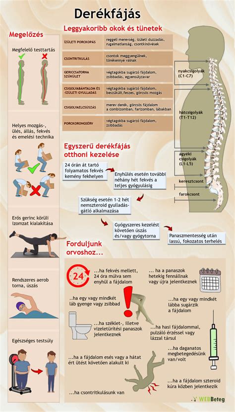 Gyermek hátfájdalmának okai infografika