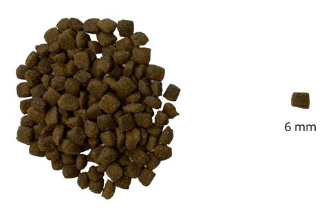 Kutyatáp és etetőtál