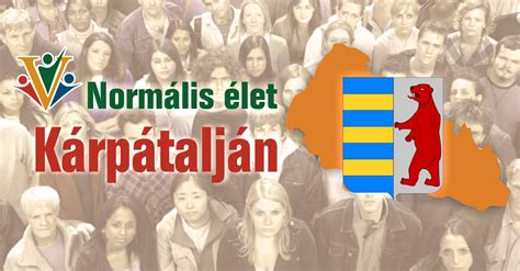 Normális borjúfekvés elléskor