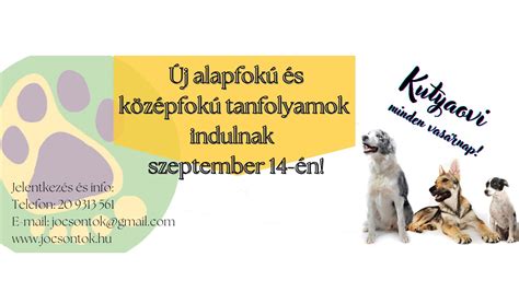 Kutyamasszázs