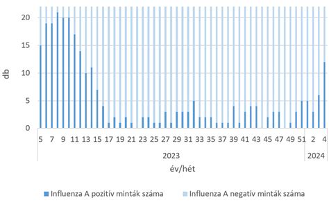 A várandósság hónapjai heti bontásban