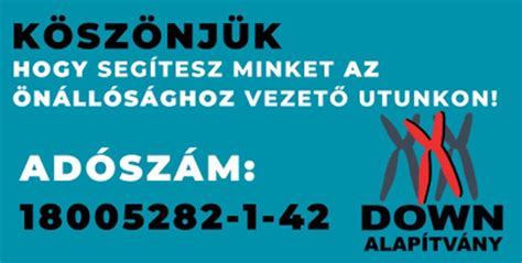 A Down Alapítvány szolgáltatásait bemutató infografika